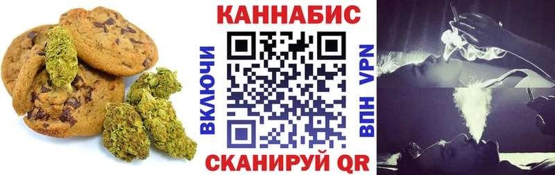 магазин продажи наркотиков  Кашин  MEGA   Canna-Cookies марихуана 