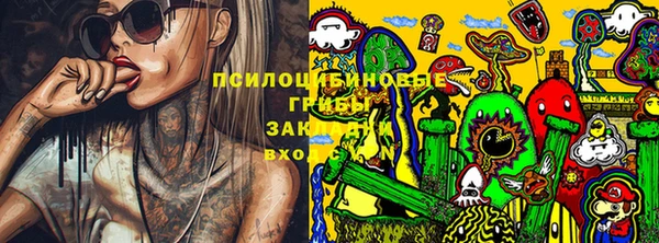 гашик Армянск
